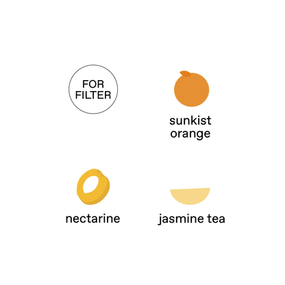 Panama, Finca La Mula (Geisha) - Washed