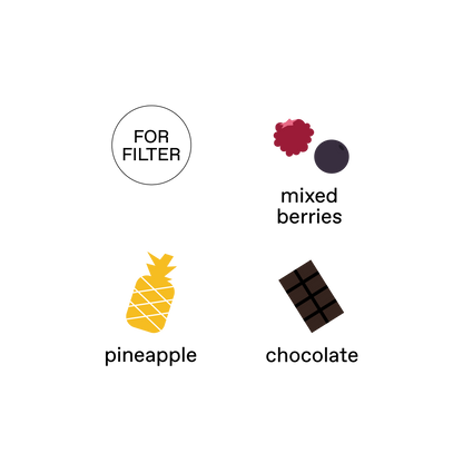 Colombia, Monteverde (Geisha) - Dark Blue