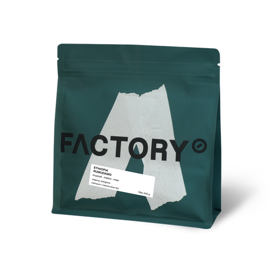Ethiopia, Arbegona - Natural Slow Dry