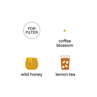 Thailand, Ader (Geisha) - Honey