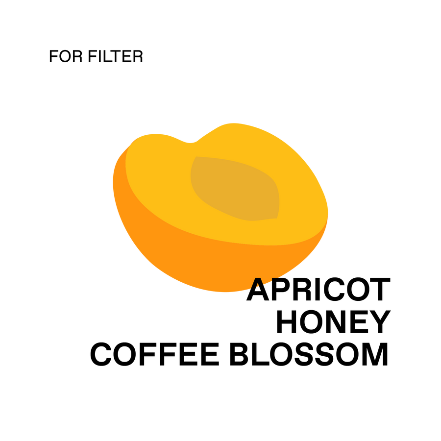 Thailand, Anchalee (Yellow Bourbon) - Honey