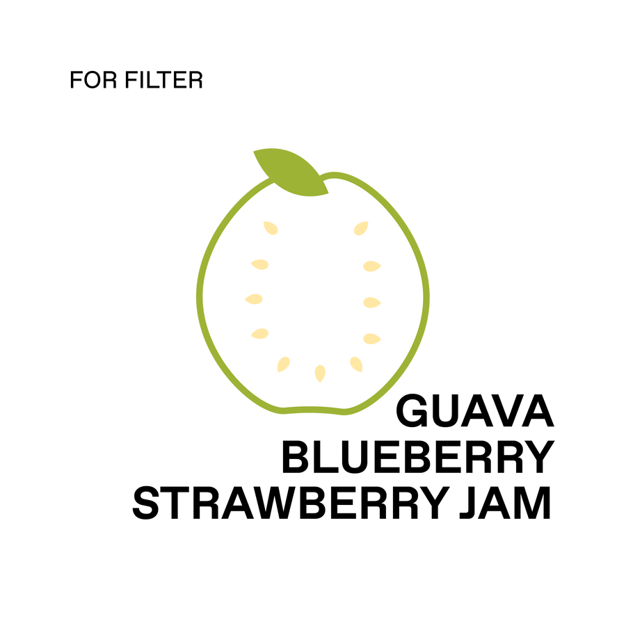 Ethiopia, Bensa Gonjobe (74158) - Anaerobic Natural