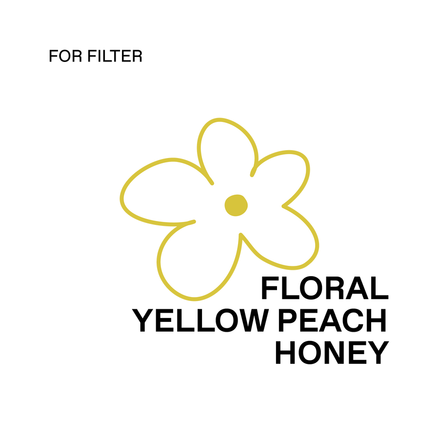 Thailand, Wichai (Yellow Bourbon) - Natural